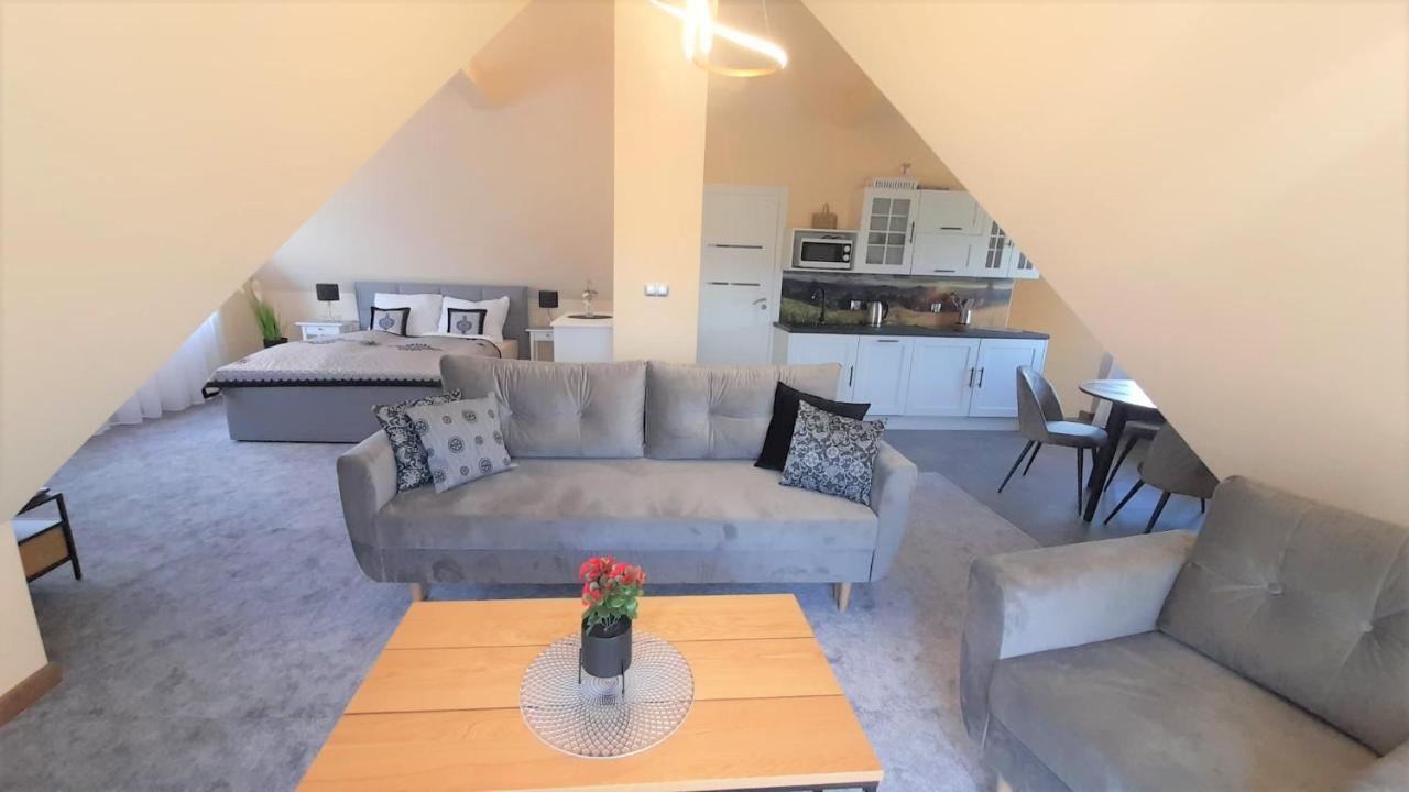 Apartamenty Geiger Witów Εξωτερικό φωτογραφία