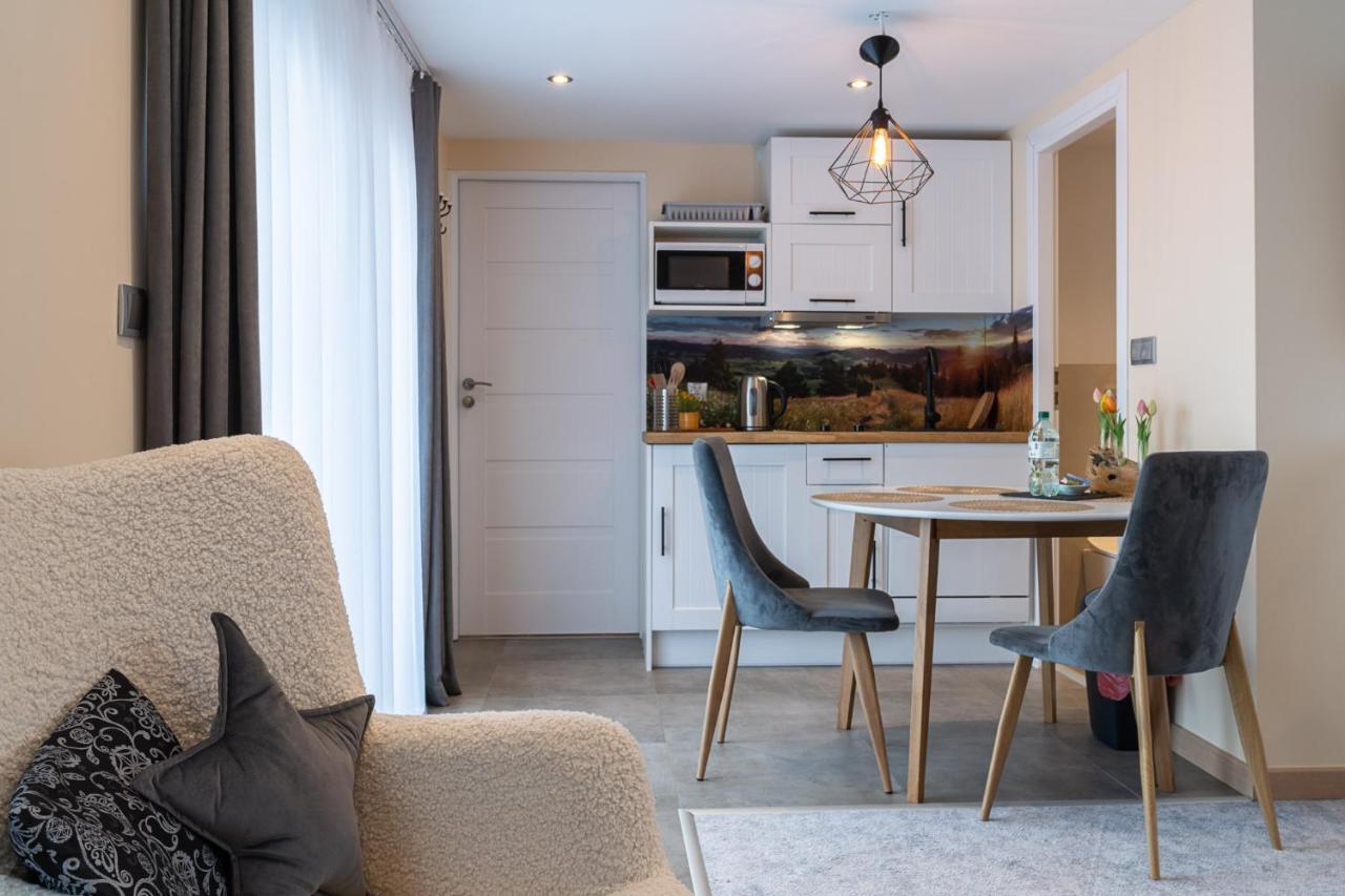 Apartamenty Geiger Witów Εξωτερικό φωτογραφία